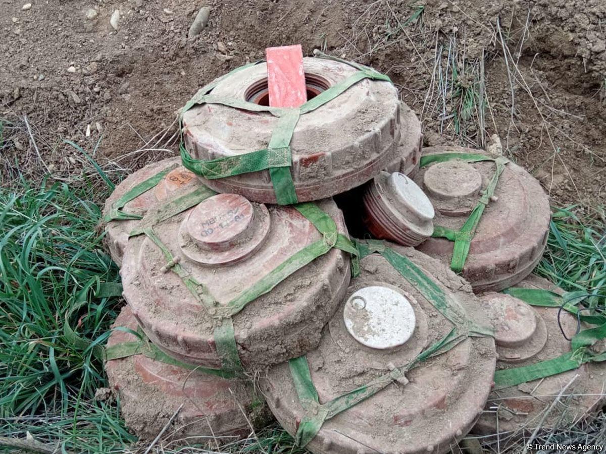 Over 500 unexploded munitions found in liberated lands last week