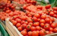 Russia lifts ban on tomato imports for 187 Azerbaijani enterprises