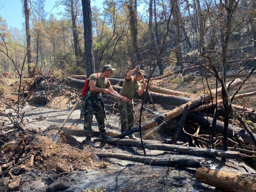 Azerbaijani firefighters prevent spread of fires in Turkey's Marmaris region [PHOTO/VIDEO]