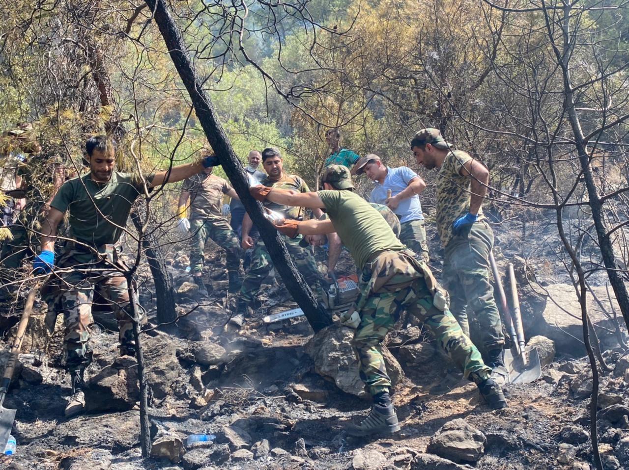 New details of extinguishing forest fires in Turkey by Azerbaijani firefighters disclosed [PHOTO/VIDEO]