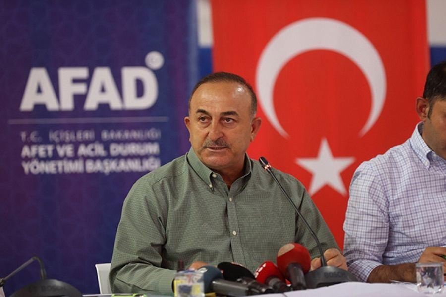 Another group of firefighters from Azerbaijan to arrive in Turkey on August 5 - Turkish FM