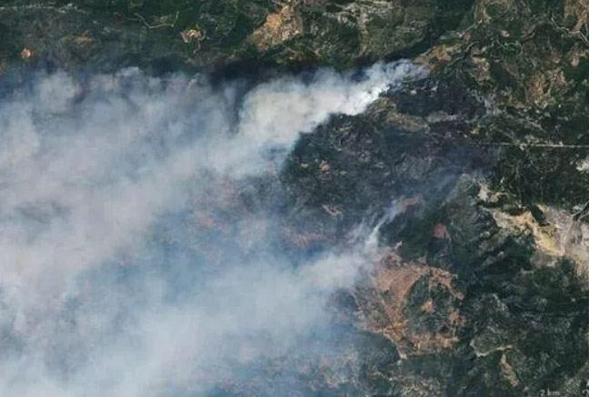 NASA releases satellite images of wildfires in Turkey - Gallery Image