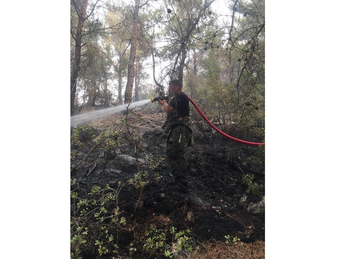 Forces of Azerbaijani ESM continues to successfully fight fires in Turkey [PHOTO/VIDEO] - Gallery Image