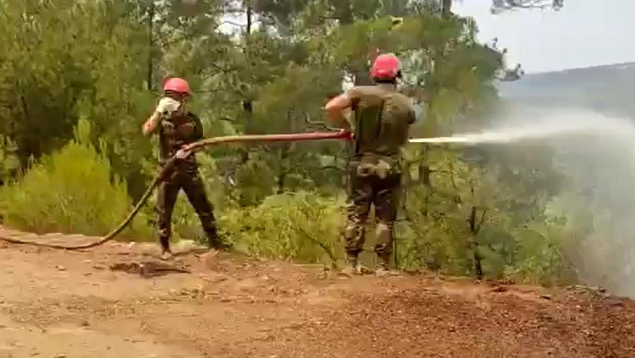 Azerbaijani fire and rescue forces continue firefighting operations in Turkey [PHOTO/VIDEO]