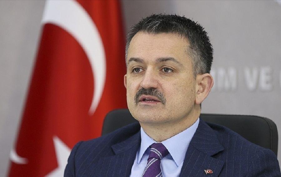We thank all our Azerbaijani brothers for their support in fight against fires - Turkish minister