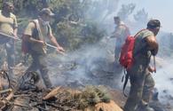 Azerbaijani Emergency Ministry's units continue fighting wildfires in Turkey <span class="color_red">[PHOTO/VIDEO]</span>