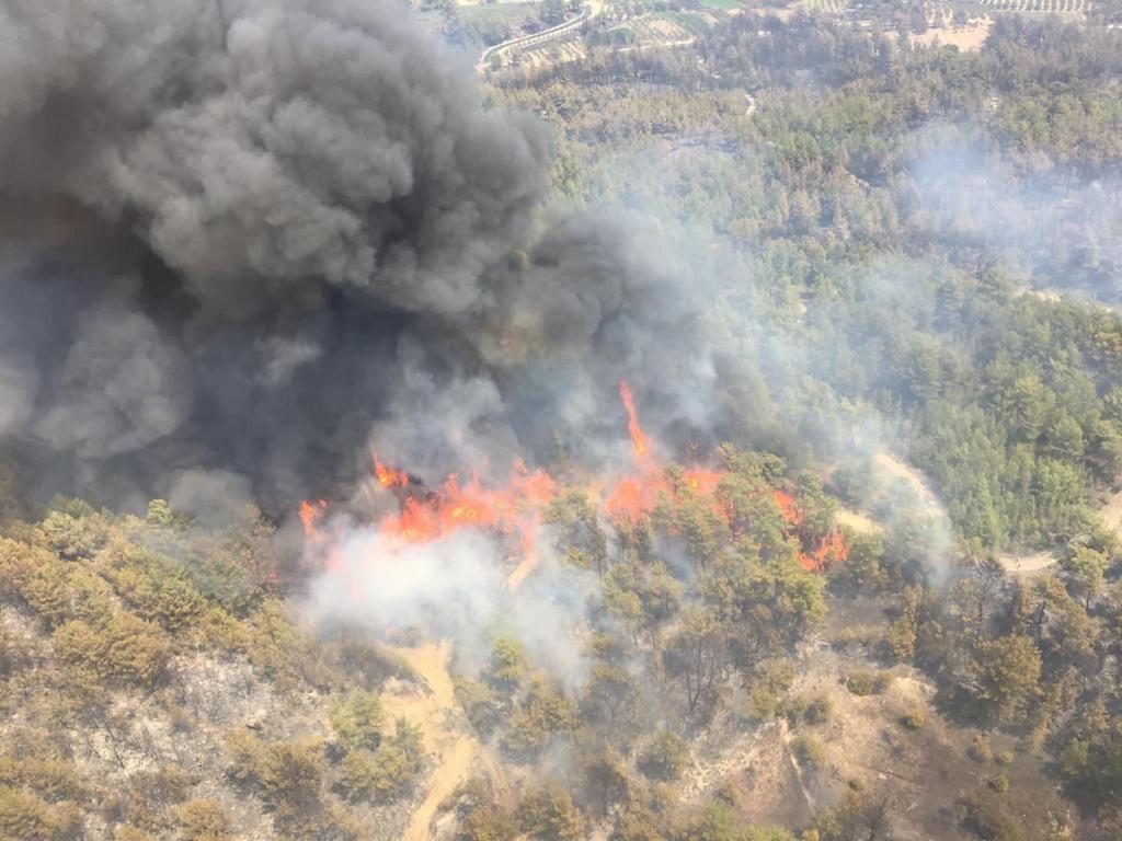 All wildfires in Turkey taken under control - minister