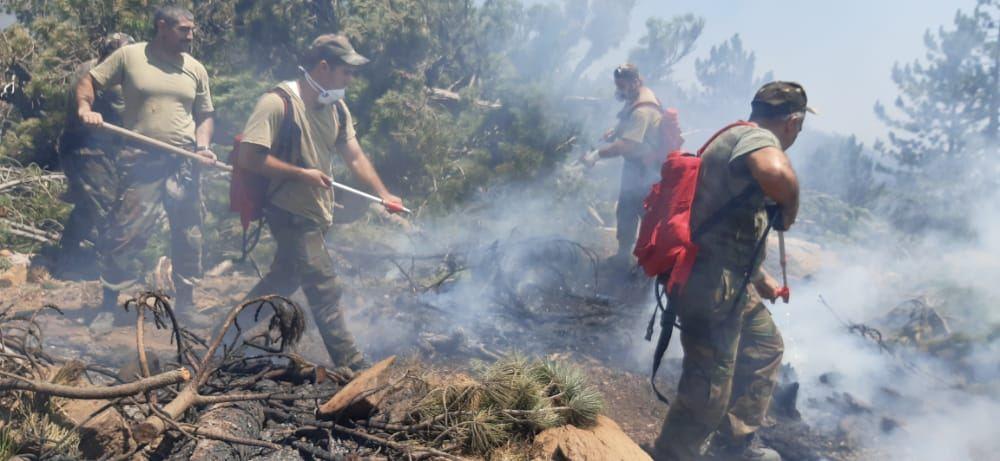 Azerbaijani Emergency Ministry's units continue fighting wildfires in Turkey [PHOTO/VIDEO]