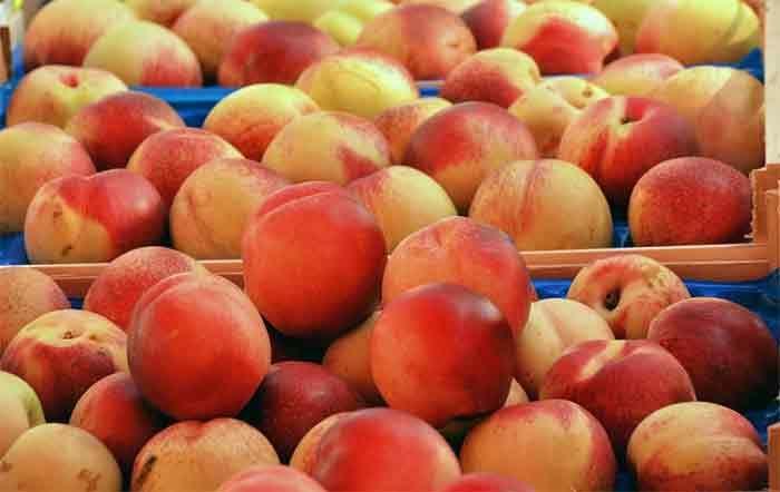 Georgia hopes to export record amount of peaches and apples
