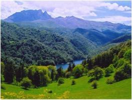 Rare species of Azerbaijani flora