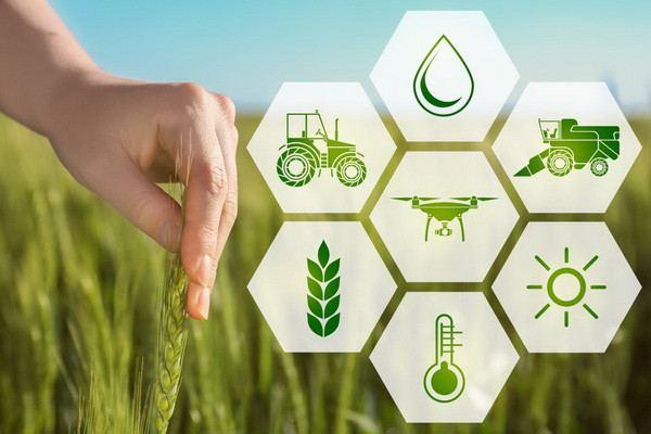 Azerbaijan's Agrarian Services Agency eyes to expand use of innovations in agriculture