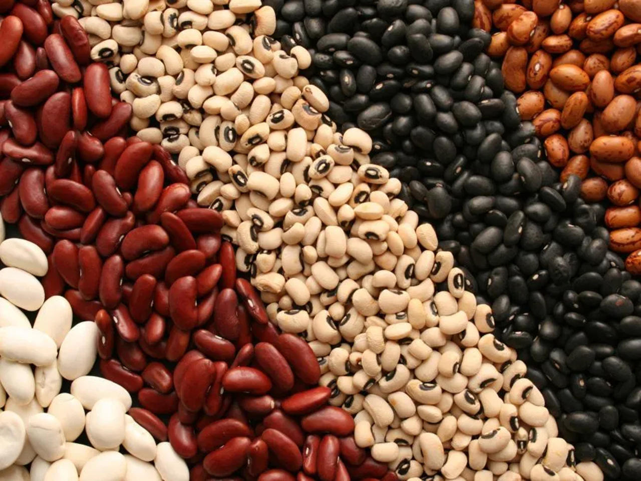 Turkey's export of grains, legumes to Georgia surges in value