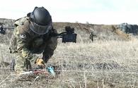 Some 215 mines, munitions defused in liberated lands