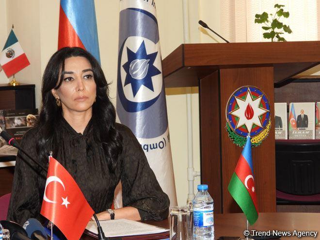 Ombudsman: Armenian provocations threaten regional peace