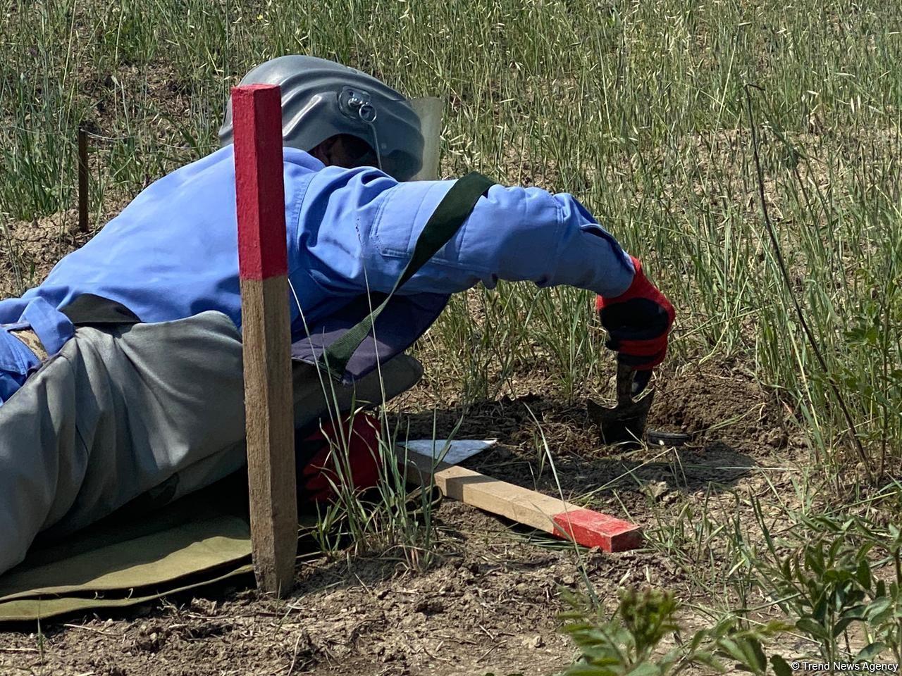 Azerbaijan reveals data on mine clearance carried out in liberated lands in October