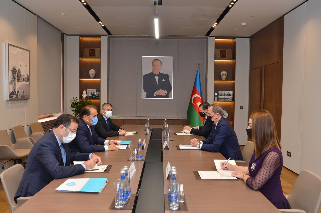 Azerbaijani FM, Turkic Council chief mull upcoming Istanbul summit