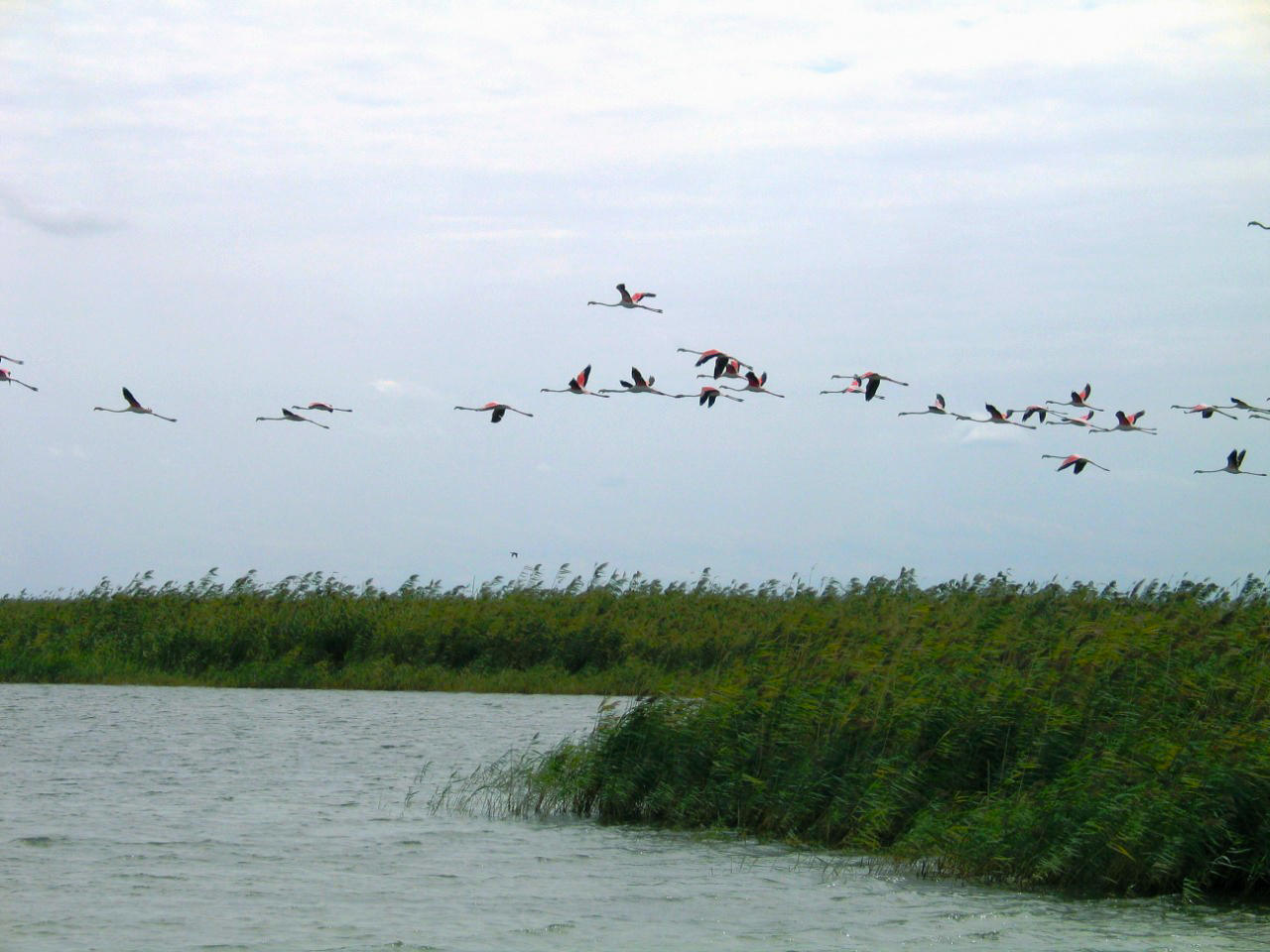 Pearl of Azerbaijan: Gizilaghaj nature reserve