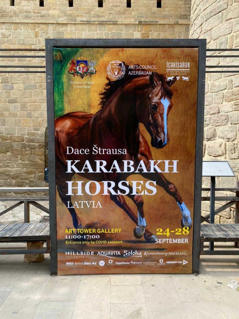 Karabakh horse through eyes of artist [PHOTO/VIDEO] - Gallery Image