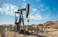 Azerbaijani records increase in oil prices