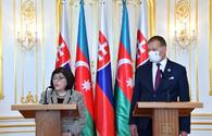 Azerbaijani, Slovak Speakers hold joint briefing <span class="color_red">[PHOTO]</span>