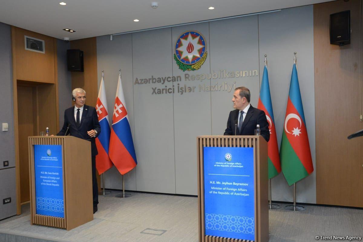 Joint press conference of Azerbaijani and Slovak FMs held in Baku [PHOTO/VIDEO]