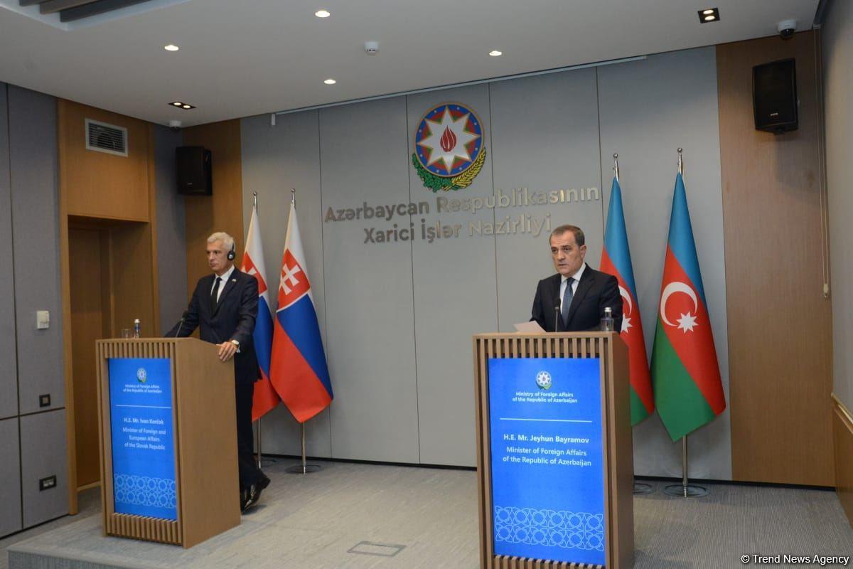 FM: Azerbaijan to get demining equipment from Slovakia