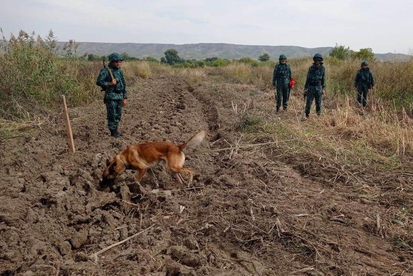 Azerbaijan reveals number of mines, munitions found on its liberated lands [PHOTO]