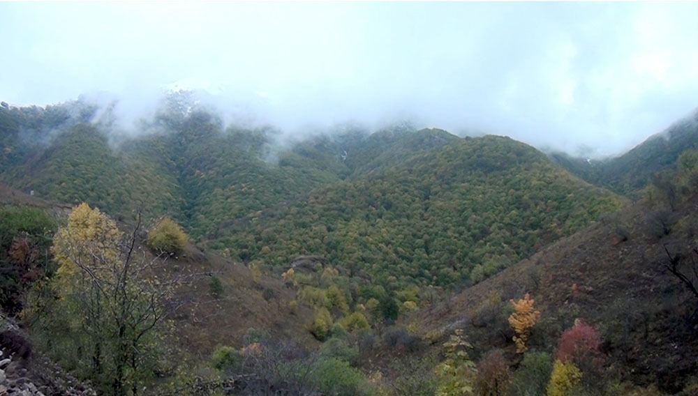 Azerbaijan shows footage from Kalbajar's Tekdam village [VIDEO]