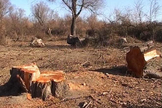 Azerbaijani Ombudsman appeals to int’l organizations regarding Armenia's environmental terror