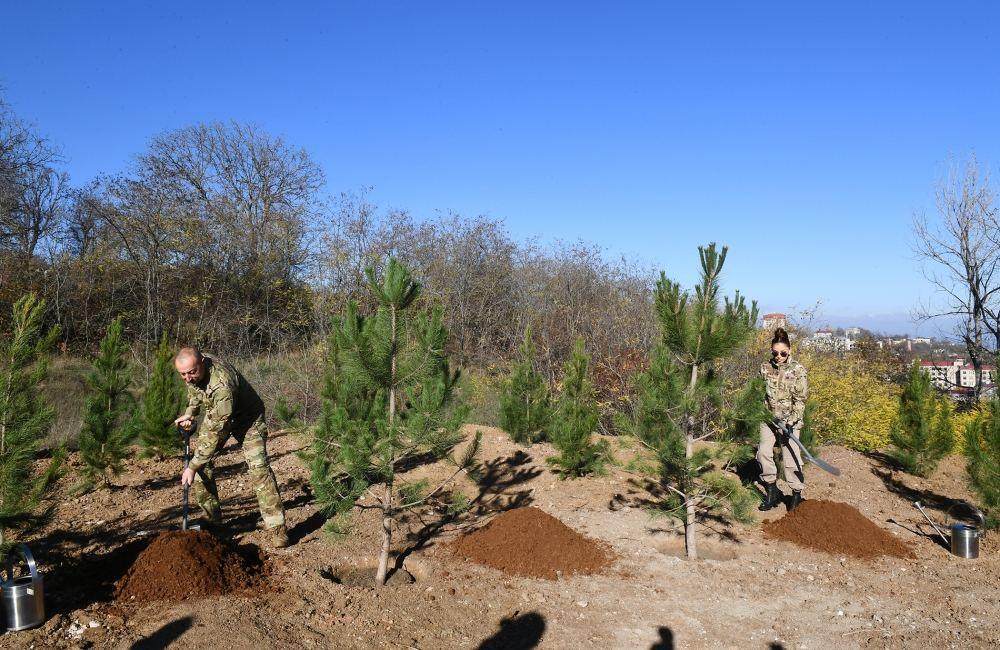 President Ilham Aliyev, First Lady Mehriban Aliyeva plant tree on Jydyr Duzu, restoration of Topkhana forest in Shusha launched [PHOTO]