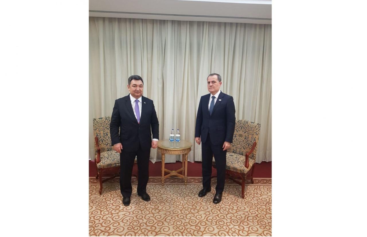 Azerbaijani FM, Turkic Academy president eye co-op, Karabakh victory