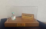 Azerbaijan may join third phase of clinical trials of Turkish COVID-19 vaccine