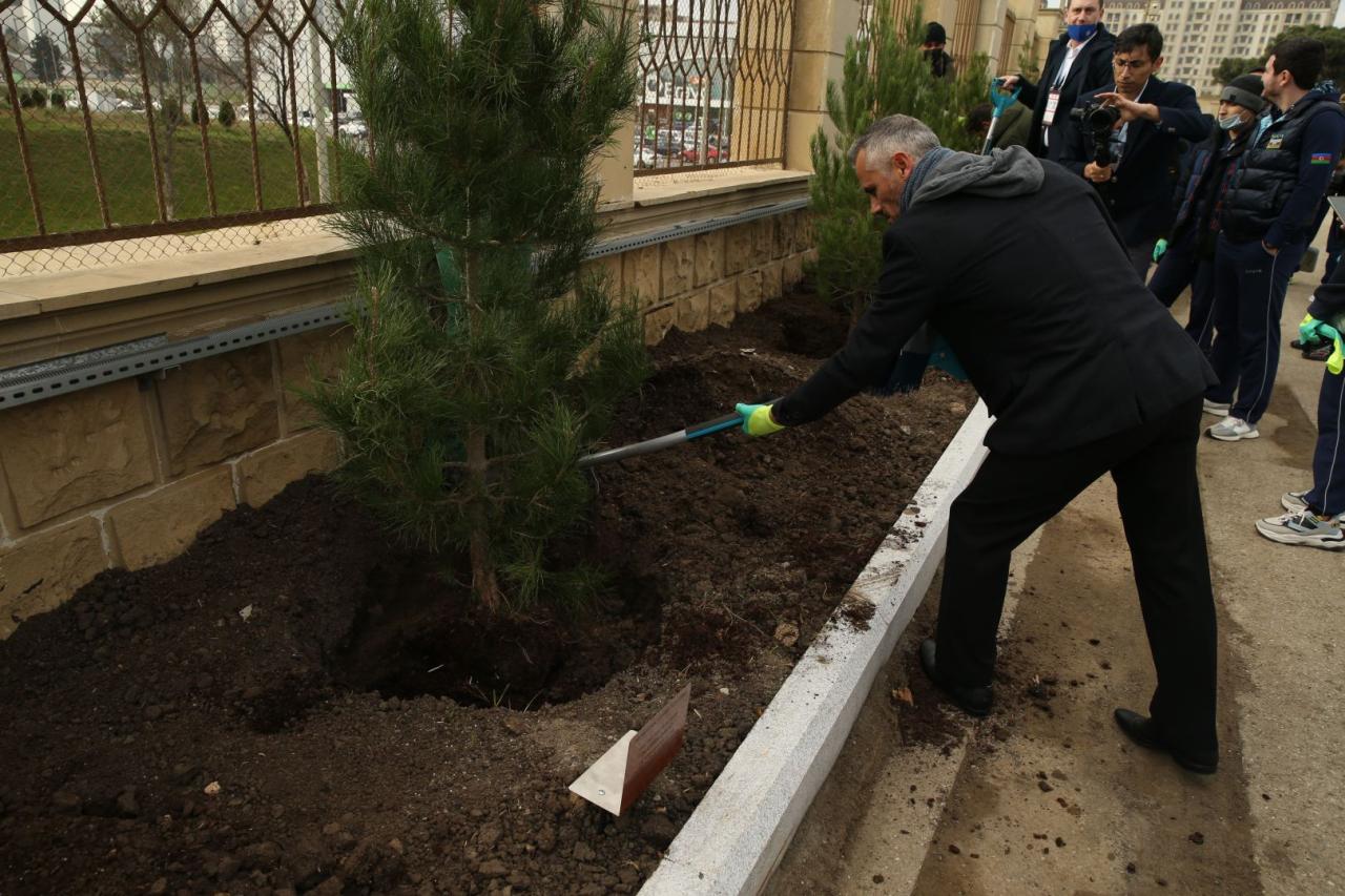 Baku holds tree planting campaign within 35th FIG Trampoline Gymnastics World Championships [PHOTO/VIDEO]