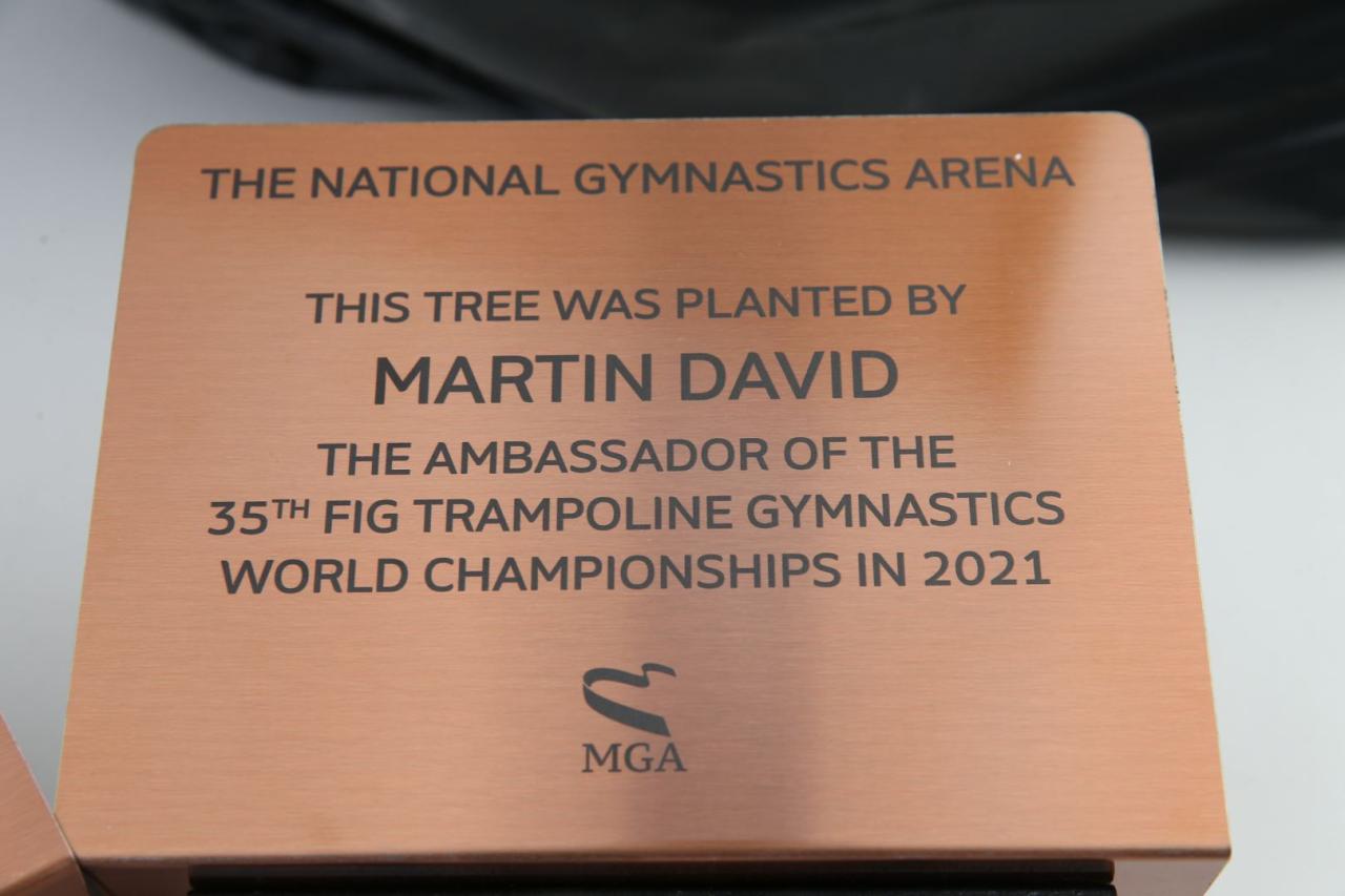 Baku holds tree planting campaign within 35th FIG Trampoline Gymnastics World Championships [PHOTO/VIDEO] - Gallery Image