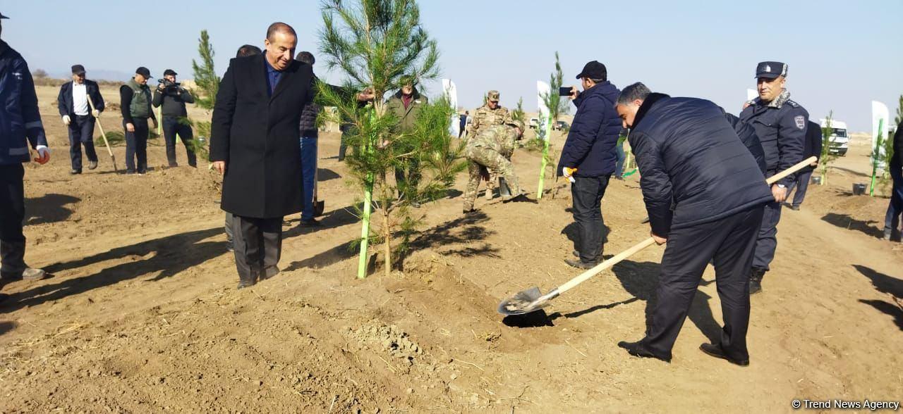 Tree planting held in Azerbaijan’s liberated Aghdam [PHOTO] - Gallery Image