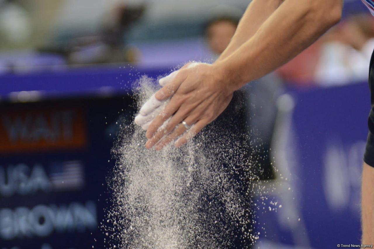 National gymnast wins silver at FIG World Championships [UPDATE] - Gallery Image