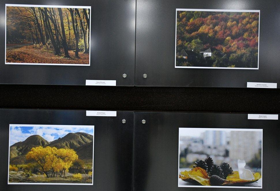 Autumn season through eyes of photographer [PHOTO] - Gallery Image