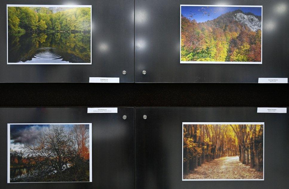 Autumn season through eyes of photographer [PHOTO] - Gallery Image