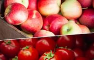 Russia lifts ban on tomato, apple imports from more Azerbaijani firms