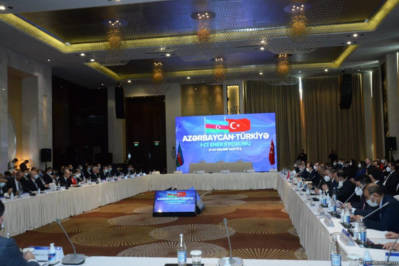 First Azerbaijani-Turkish energy forum kicks off in Baku [PHOTO]