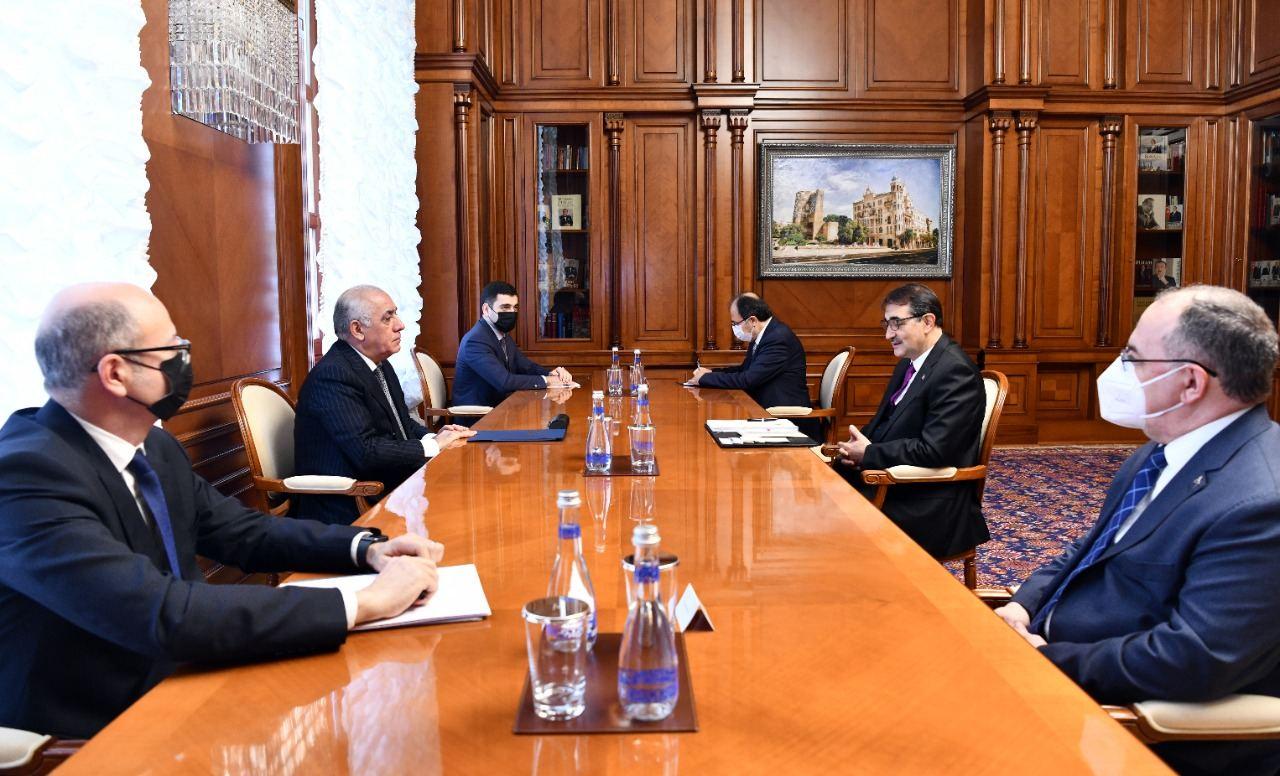 Azerbaijani PM meets with Turkish minister of energy and natural resources