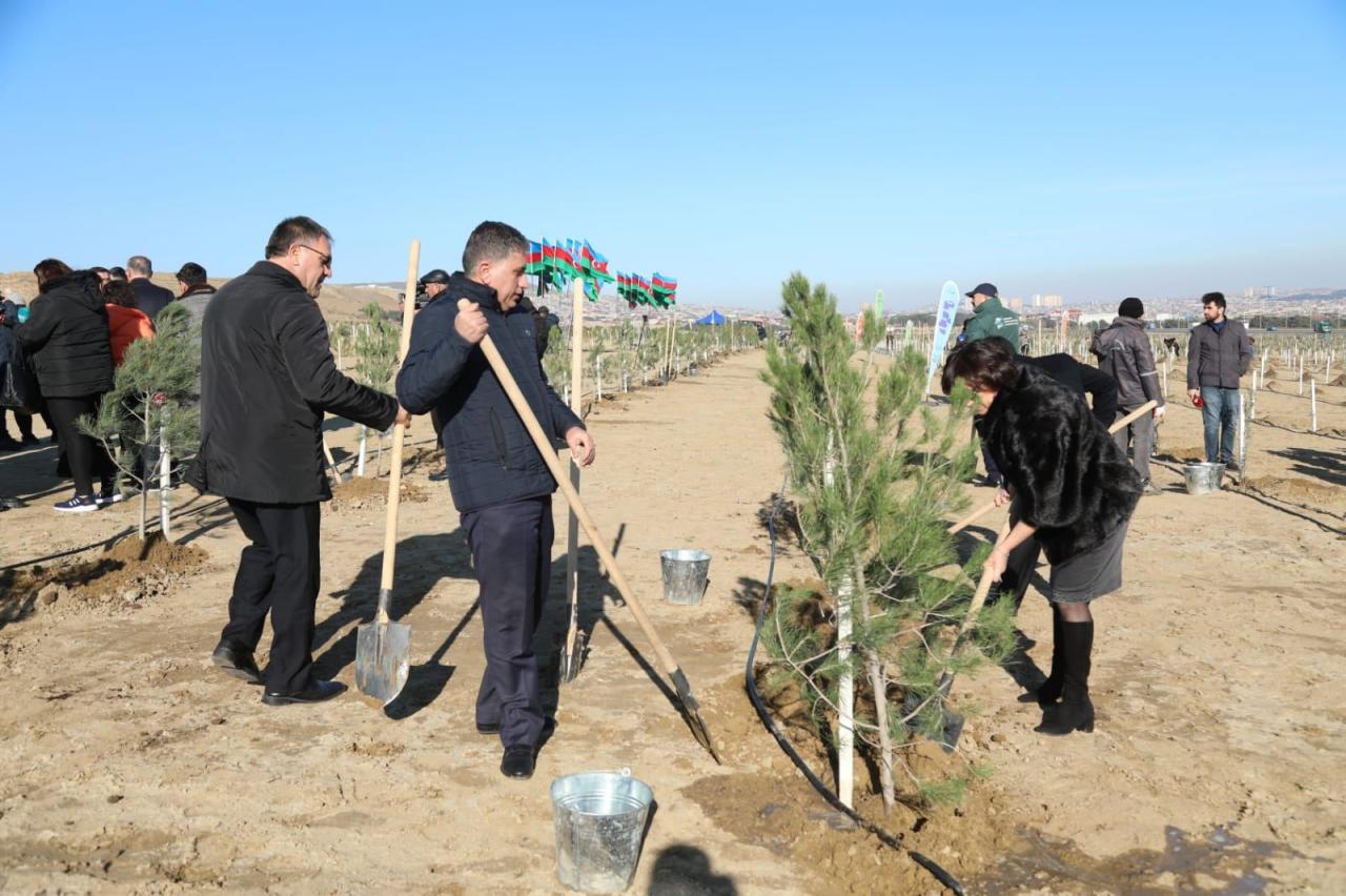 Baku holds tree planting campaign dedicated to birthday anniversary of President Ilham Aliyev [PHOTO] - Gallery Image