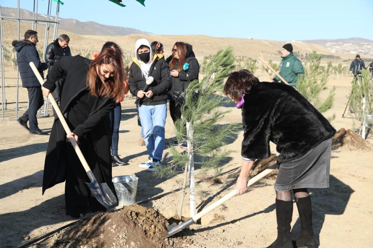 Baku holds tree planting campaign dedicated to birthday anniversary of President Ilham Aliyev [PHOTO] - Gallery Image