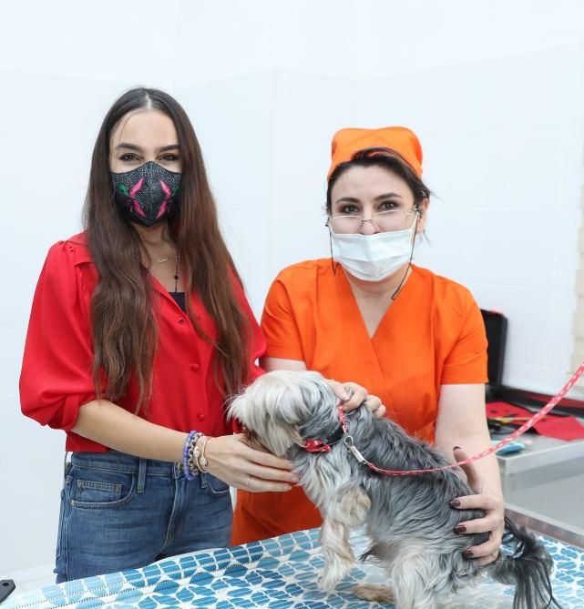 Veterinary Clinic opens in Baku [PHOTO] - Gallery Image