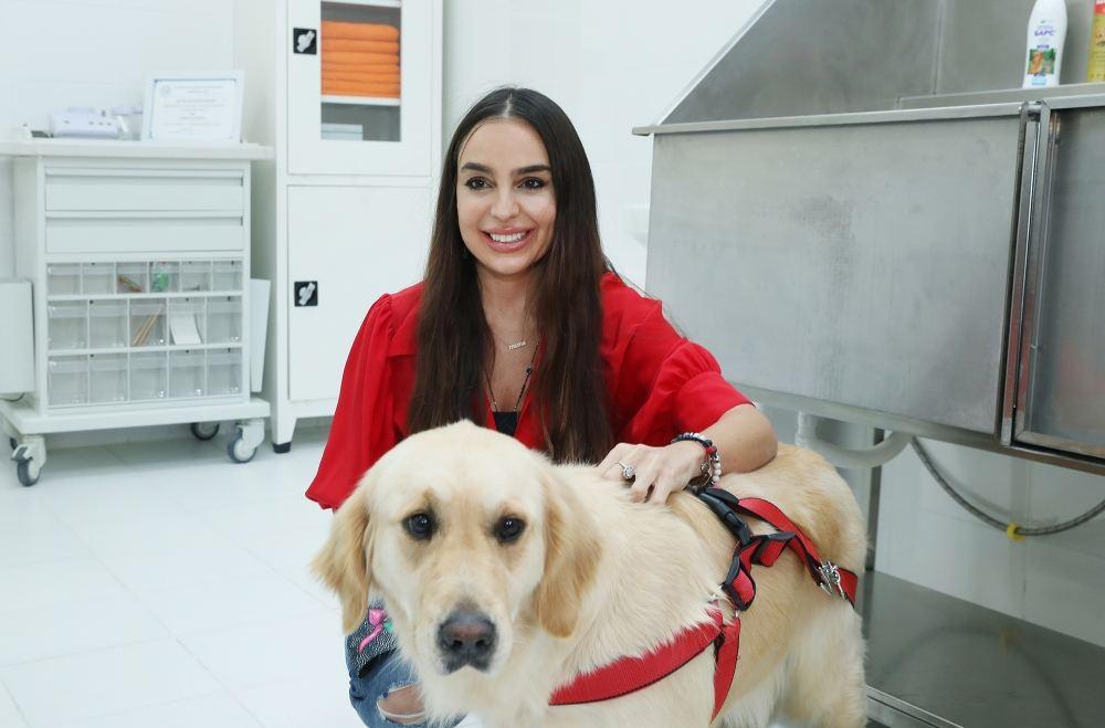 Veterinary Clinic opens in Baku [PHOTO] - Gallery Image