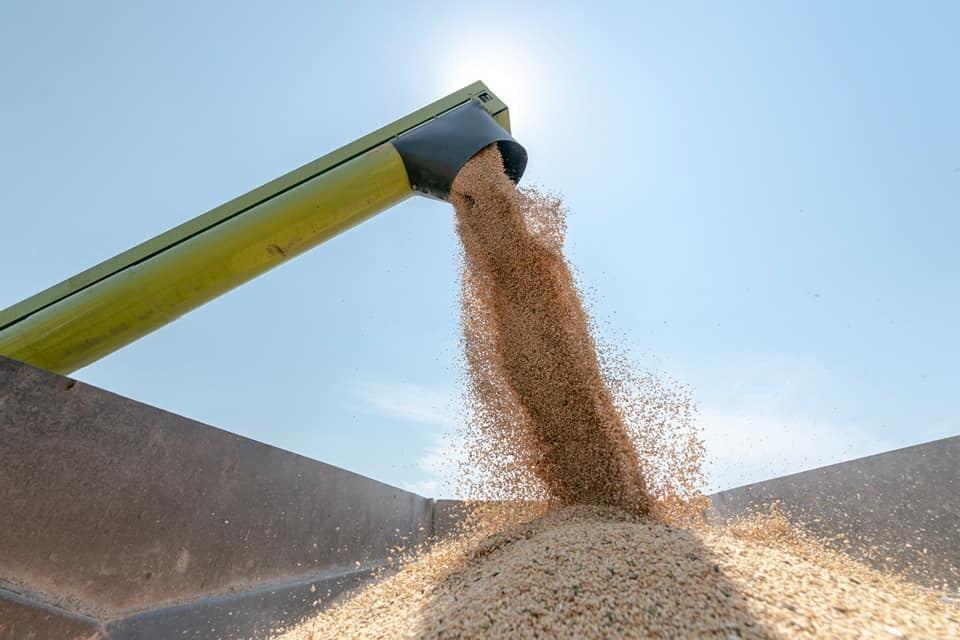 Why did wheat prices rise in world and in Azerbaijan?
