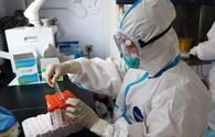 WHO reports record-breaking number of new coronavirus cases - over 2.6 mln