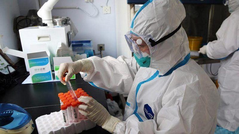 WHO reports record-breaking number of new coronavirus cases - over 2.6 mln