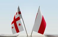 Poland sees potential for deepening co-op with Georgia – ministry