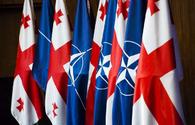Defence Committee Chair says Georgia to be a NATO member